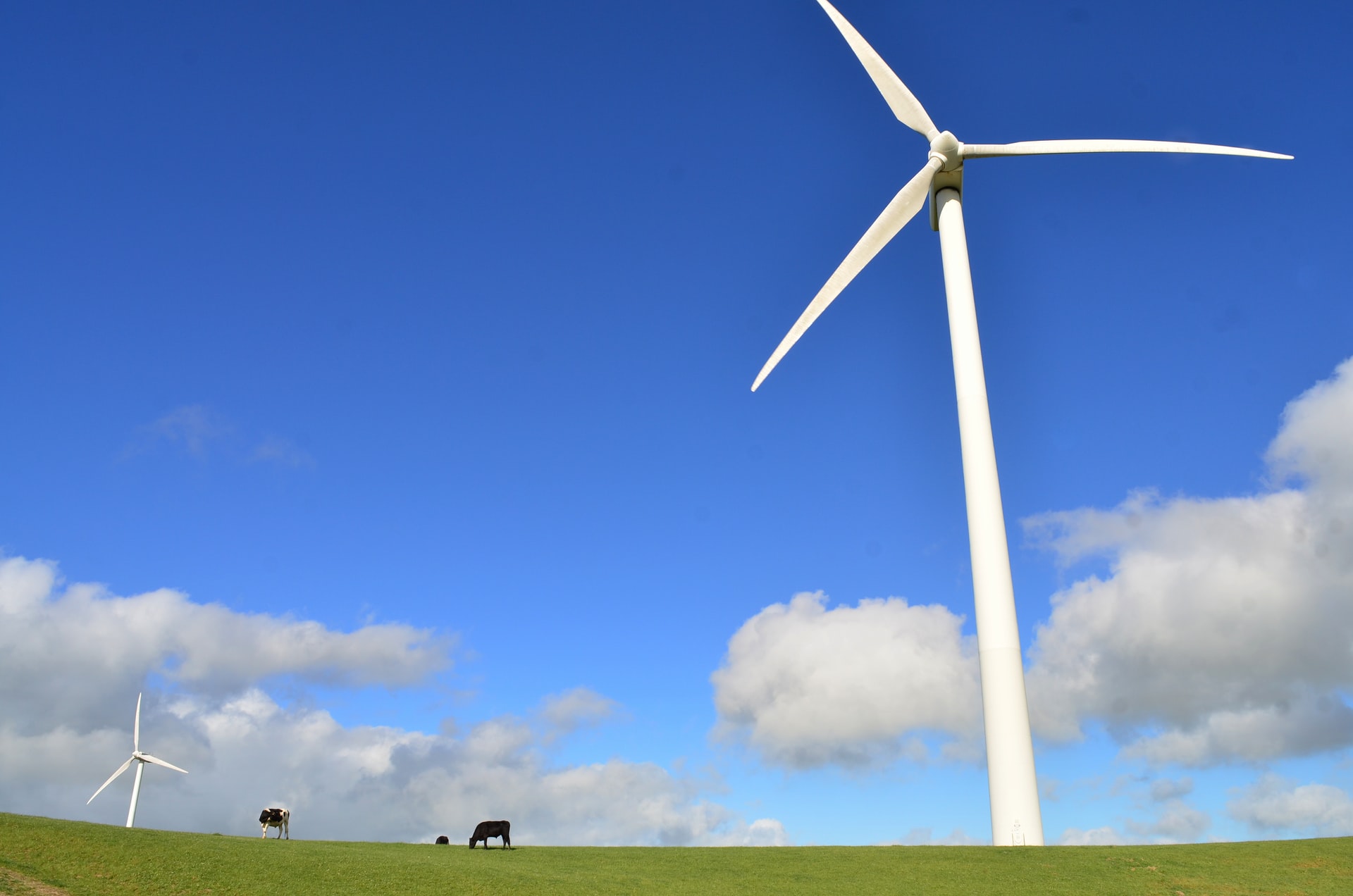 デンマークの風力発電を見習い 自国の状況に合わせた発電が必要