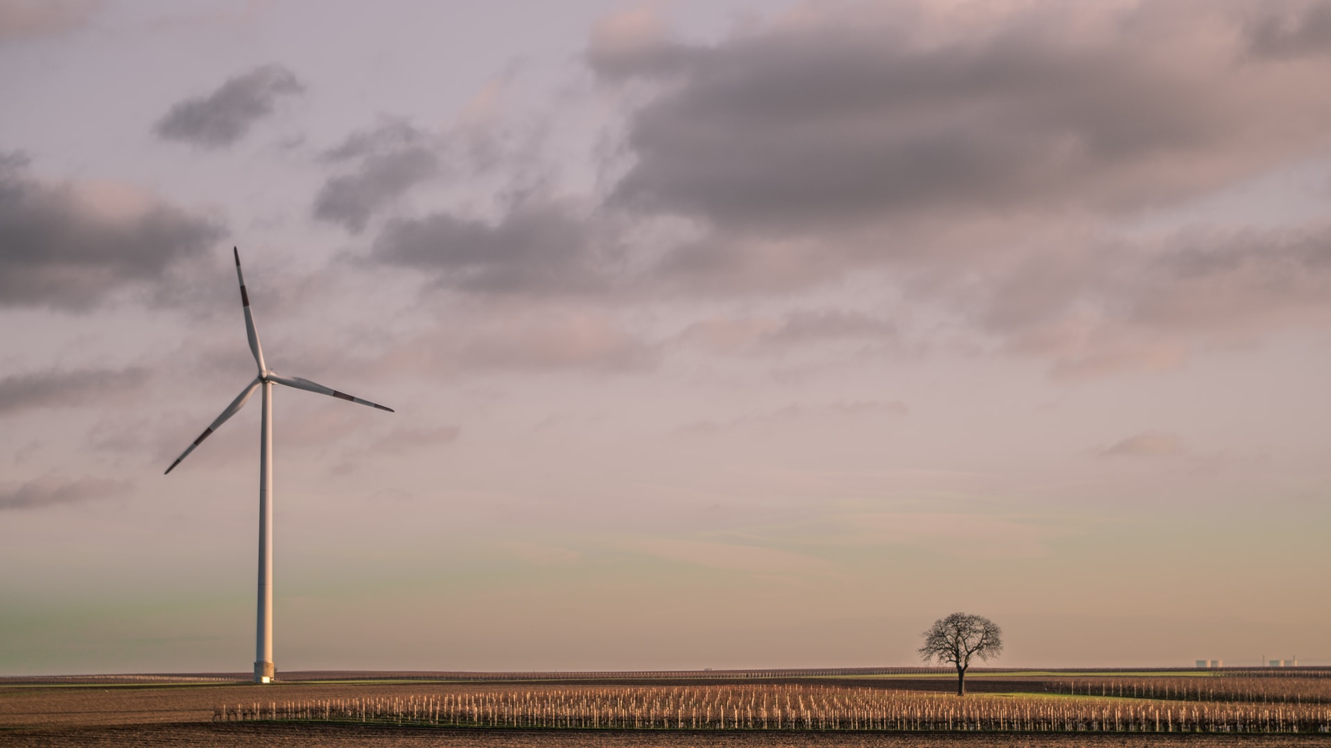ドイツの陸上風力発電が伸び悩む理由