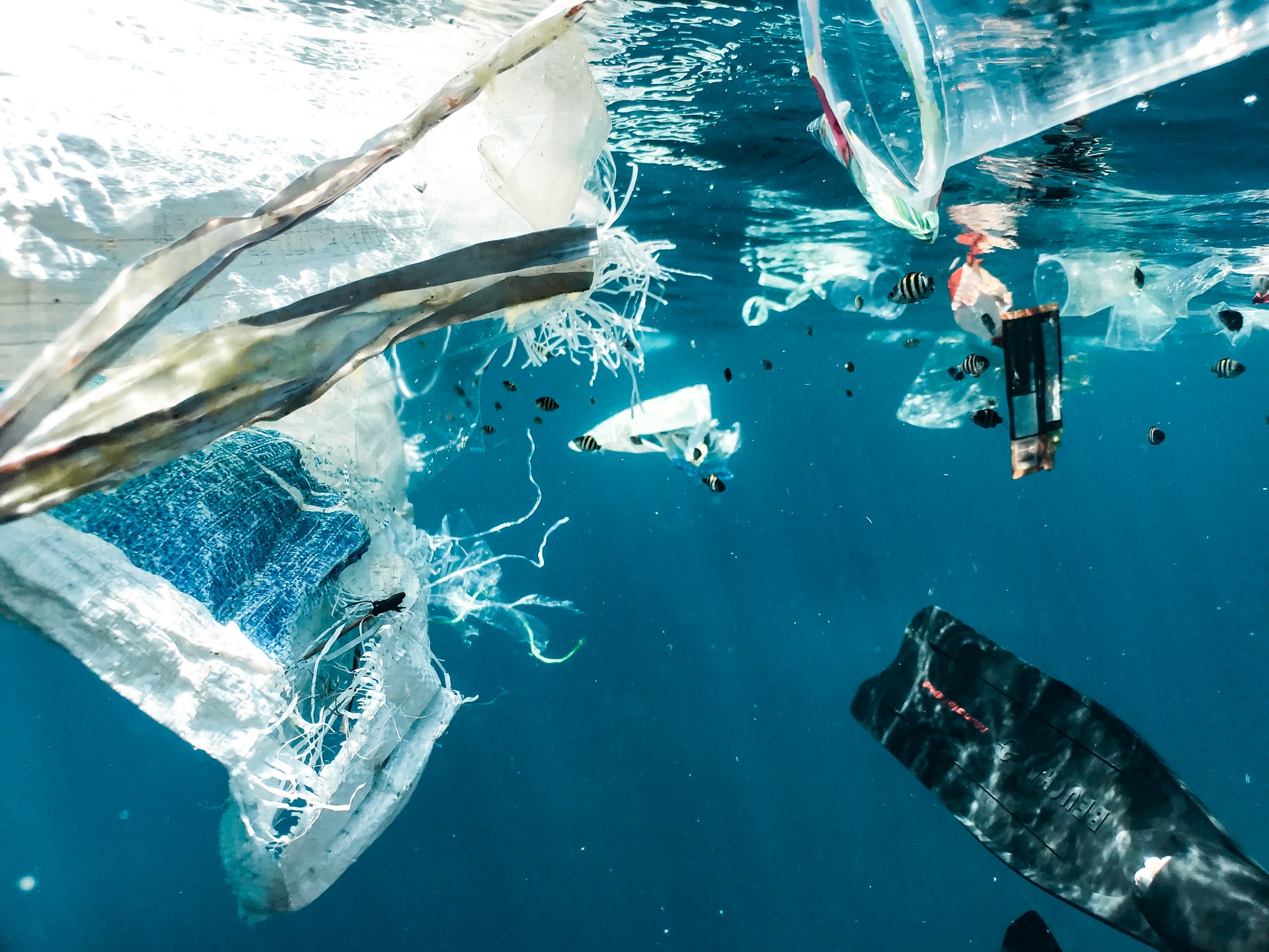 海洋プラスチックごみ問題への関心の高まり