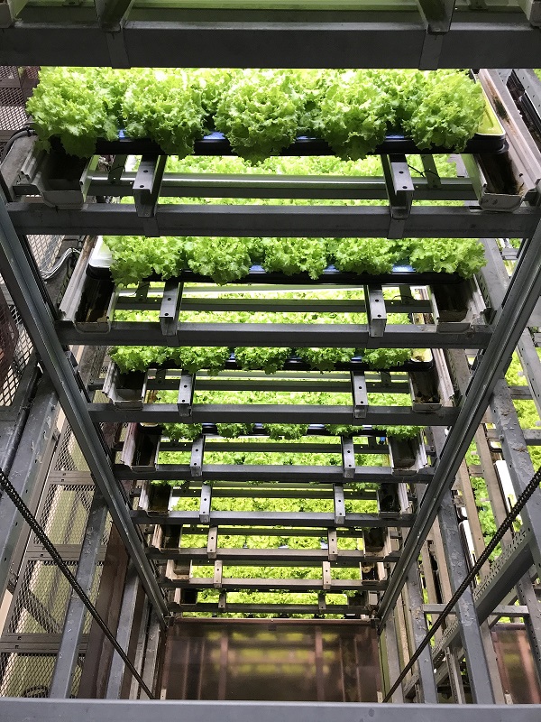 植物工場研究センター(PFC)はどんな施設?