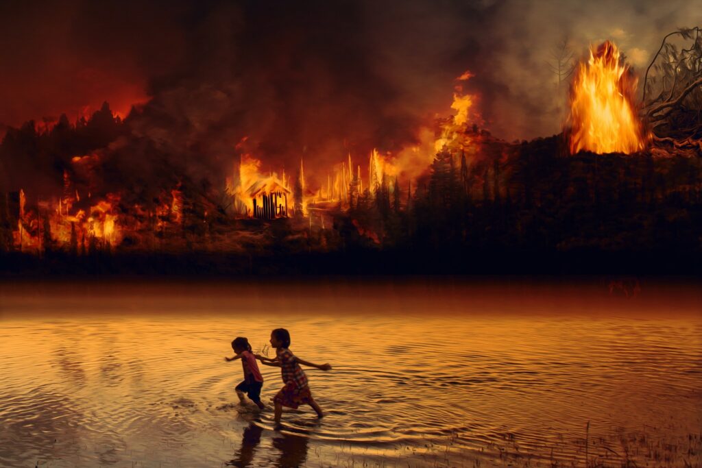 アマゾン火災と火災の原因