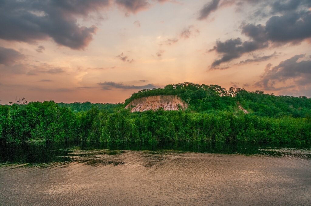 アマゾン熱帯雨林の役割と地球への影響