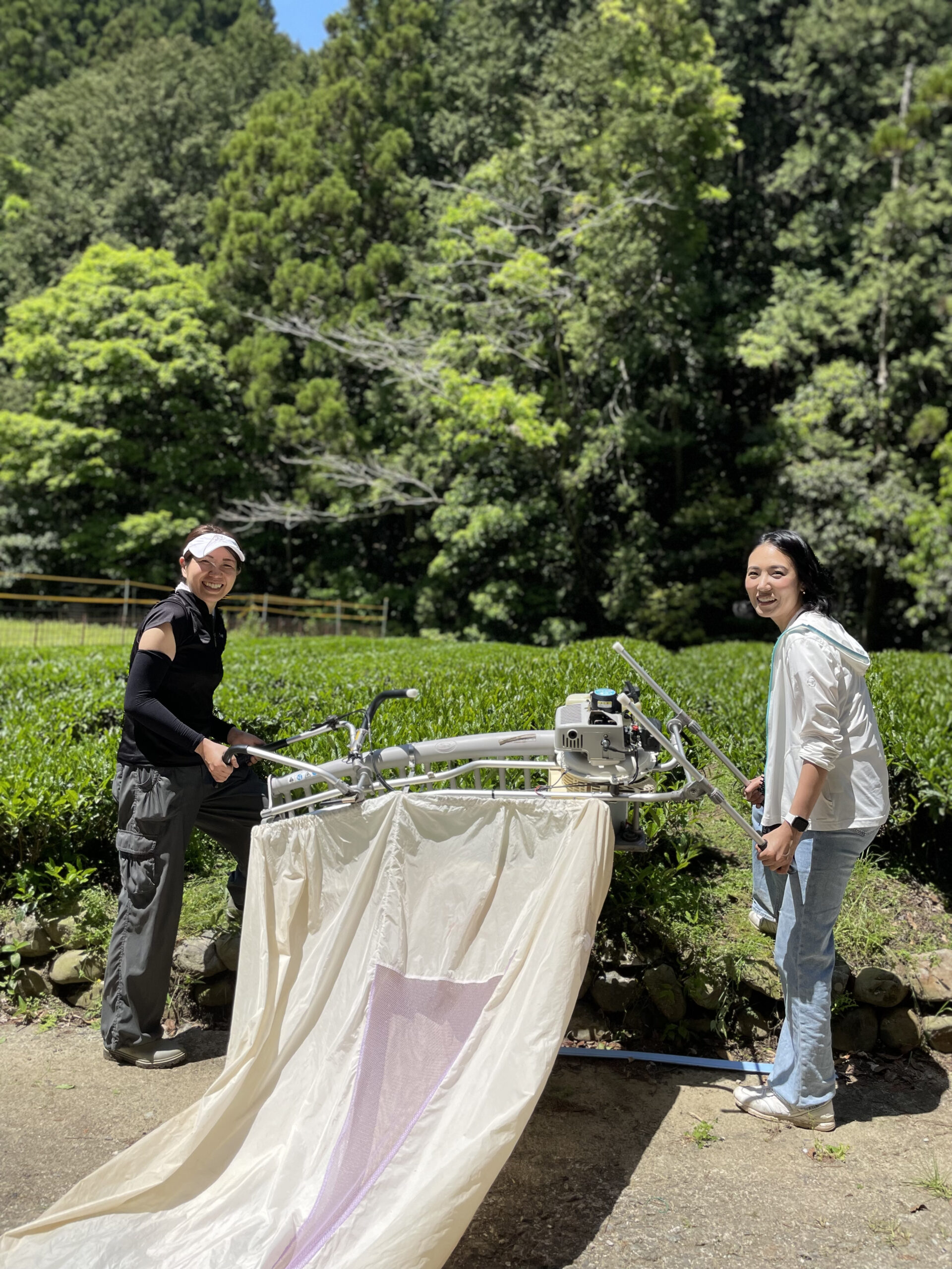 ⬆︎茶畑復興に取り組む石司（いしづか）さん (左)と澤田 　(2024年5月5日石司さんの茶畑にて)