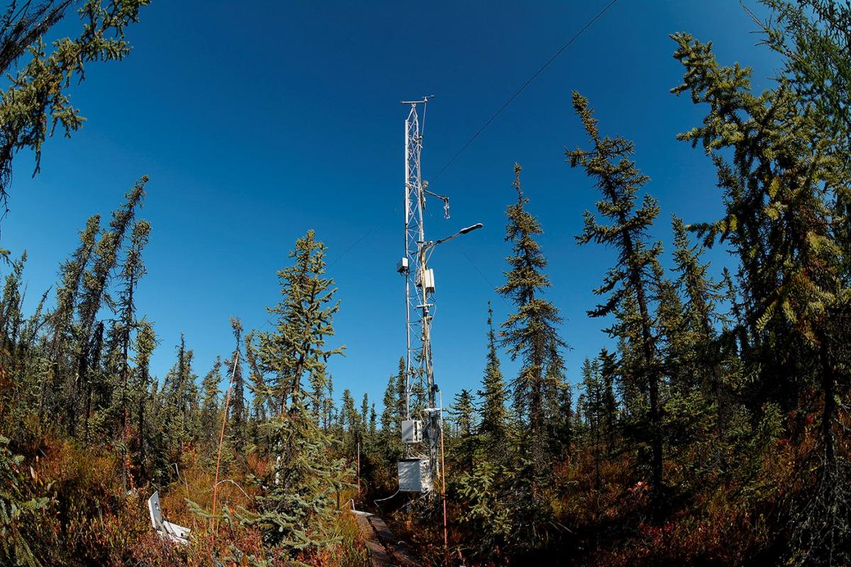 図1 米国アラスカ州フェアバンクスの永久凍土上のクロトウヒ林に設置された、森林のCO2吸収を評価するための気象観測タワー。30分毎に、365日、20年以上、森林のCO2吸収量を連続的にモニタリングしている。