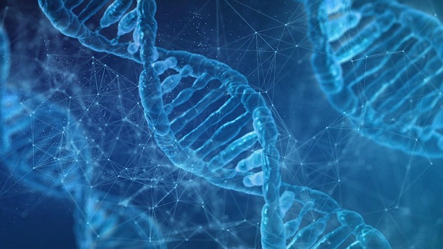 環境DNAとは何か？基本的な仕組みを理解しよう