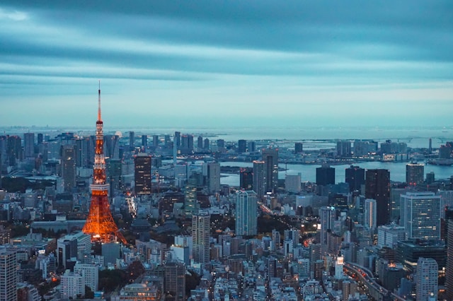 日本政府・自治体の取り組み事例