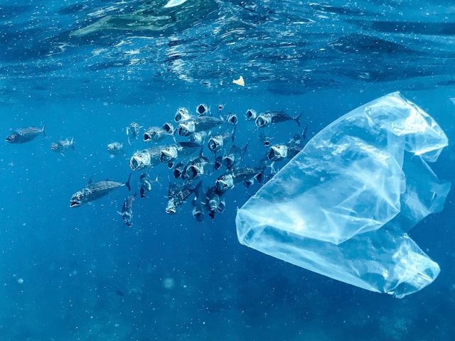 プラスチックフリーを始めるメリットと今後の展望