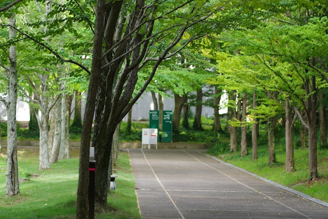 緑の回廊（グリーンベルト）の基本的な意味