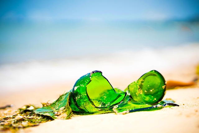 プラスチックフリーが注目される理由