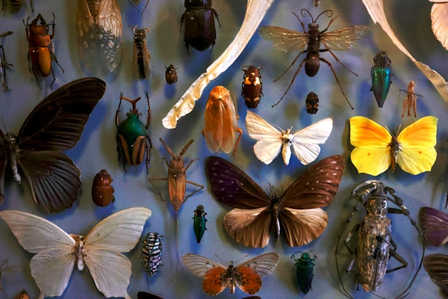 なぜネイチャーポジティブ指標が必要なのか