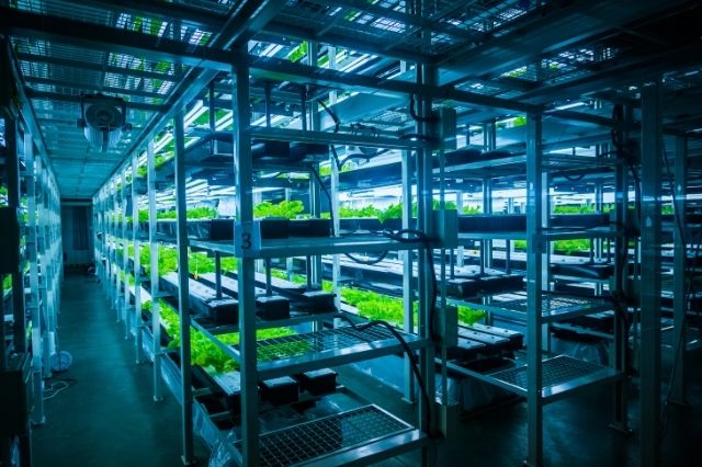 都市型スマート農業が注目される背景