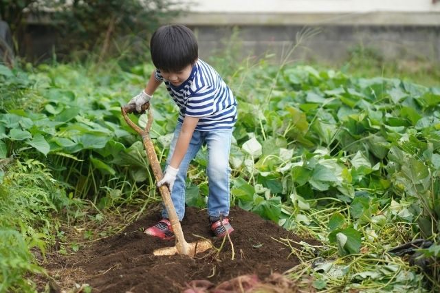 都市型スマート農業の今後の展望