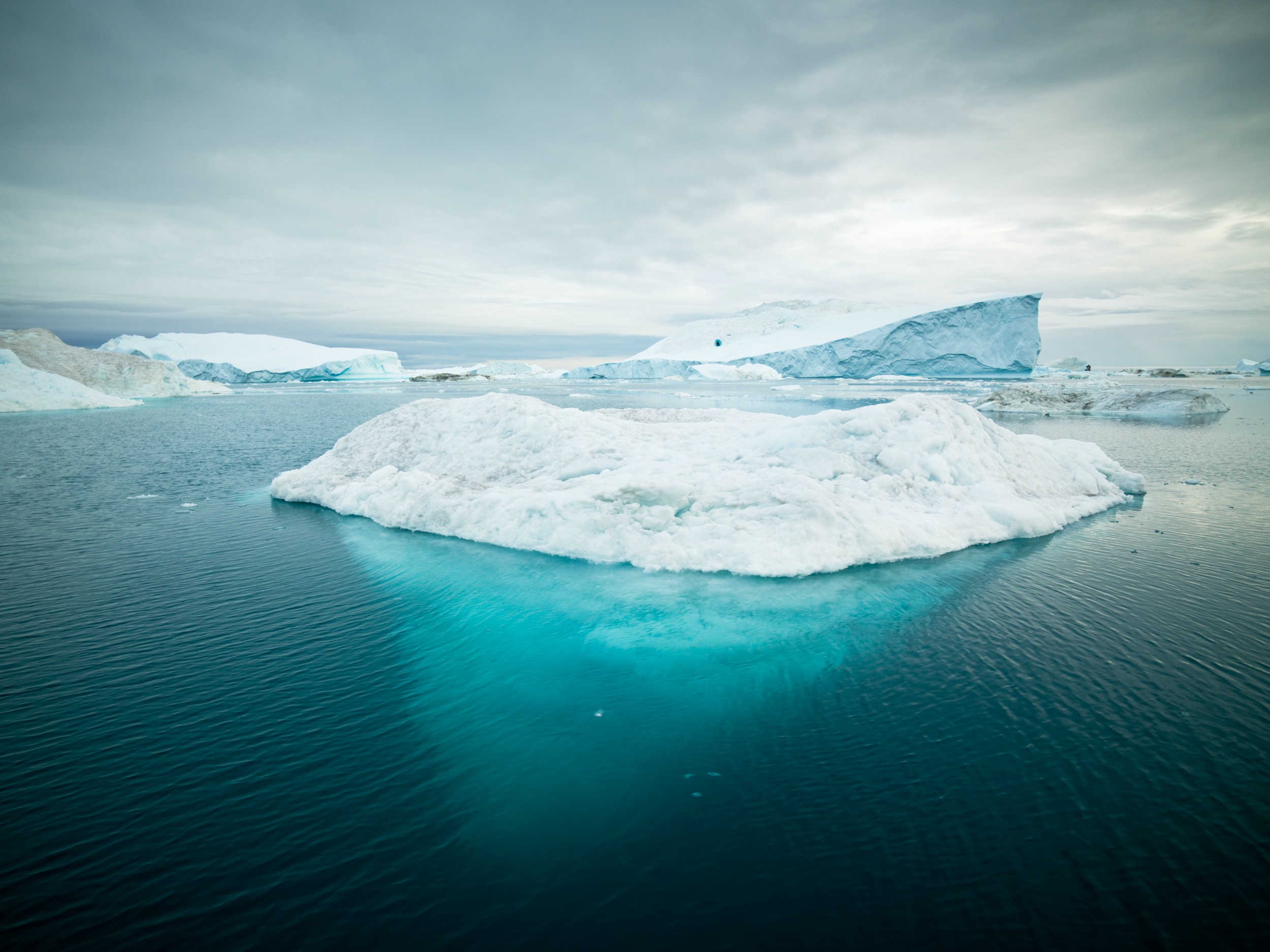 北極圏の氷を南極に保存する「アイスメモリー」計画が進行中 | SDGs特化メディア-持続可能な未来のために