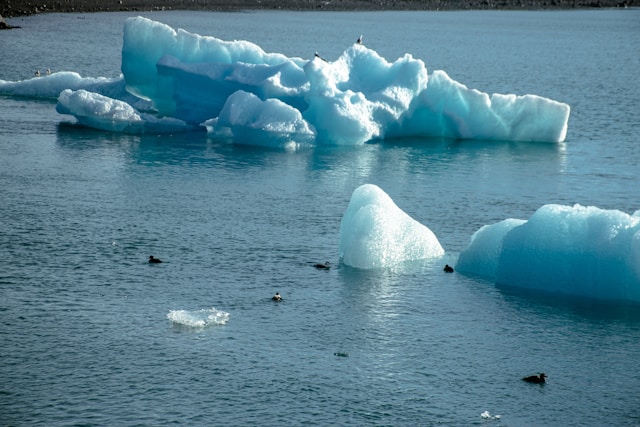 気候行動計画(CAP)とは？わかりやすく解説