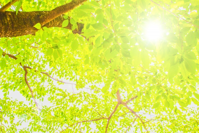 「使い捨て」から「使い続ける」へ｜資源有効利用促進法の改正と、広がるリユース経済の今