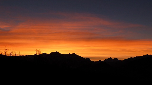 2030年の「瀬戸際」で自然に向き合う｜ネイチャーポジティブと企業開示の最前線