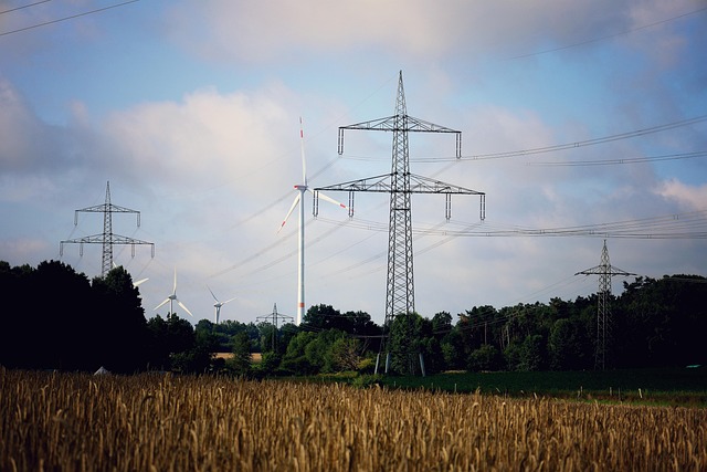 排出量取引が義務化へ｜日本のGX政策、2026年度から新たなステージへ