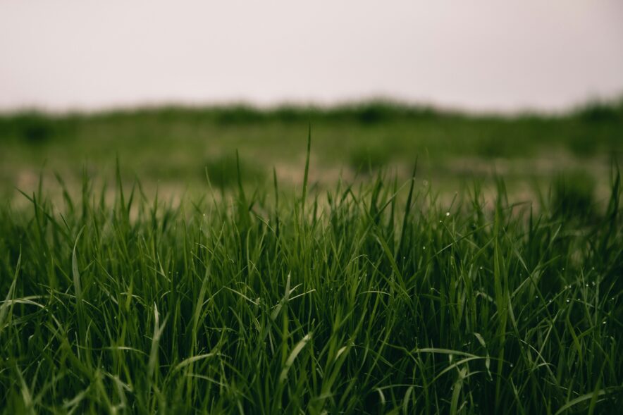 Photo by Justin Schwartfigure on Unsplash