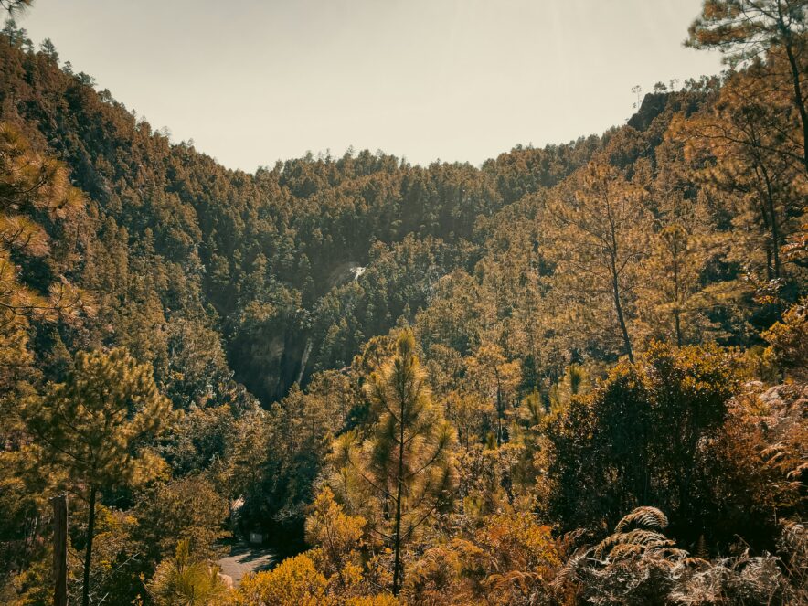 Photo by Johnny Calderón on Unsplash