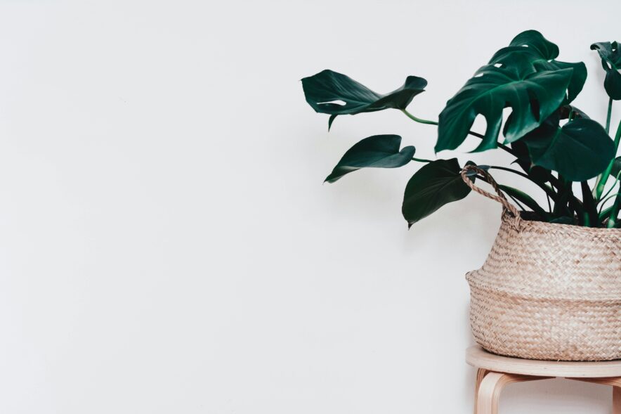 Photo by Content Pixie on Unsplash