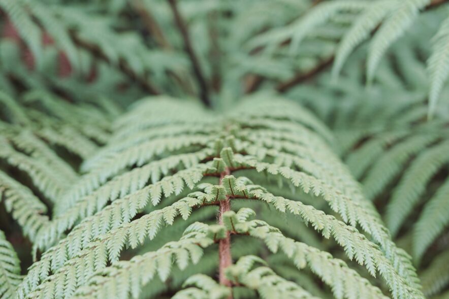 Photo by Phill Brown on Unsplash