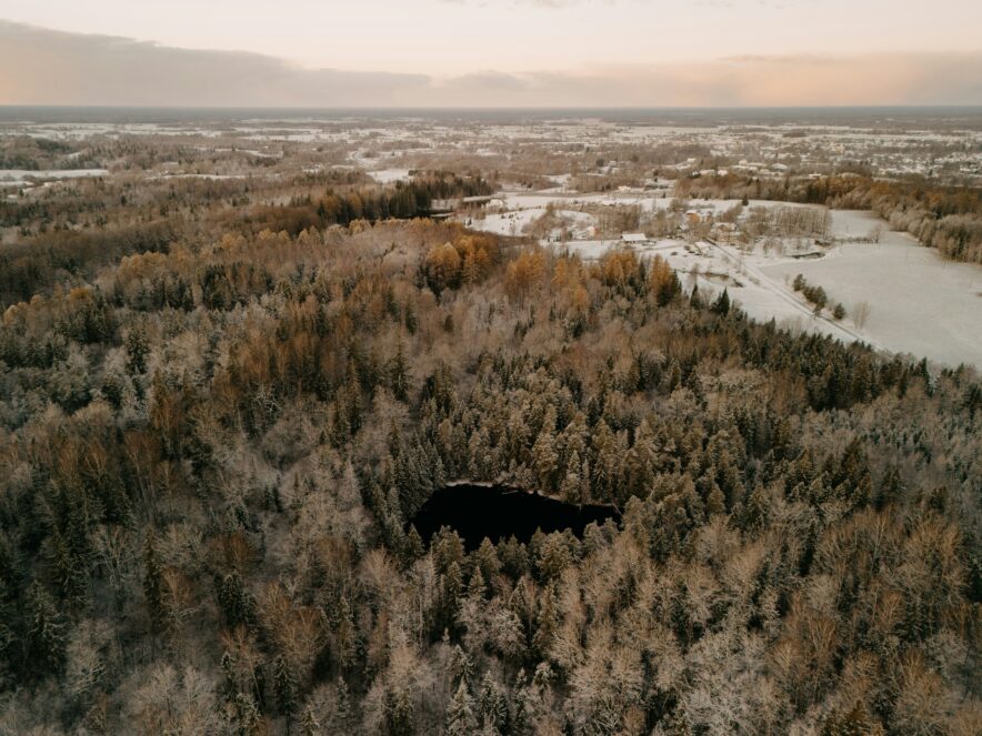 Photo by Aivars Vilks on Unsplash