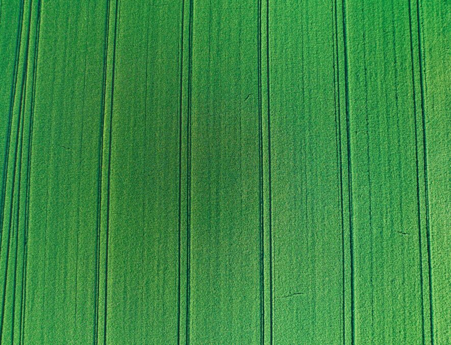 Photo by Nathan Queloz on Unsplash