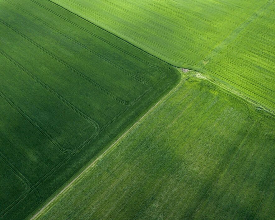 Photo by Dimitar Yanchev on Unsplash