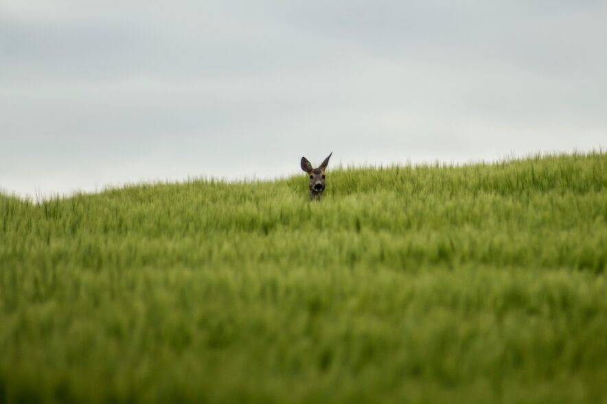 Photo by Julian Hanslmaier on Unsplash
