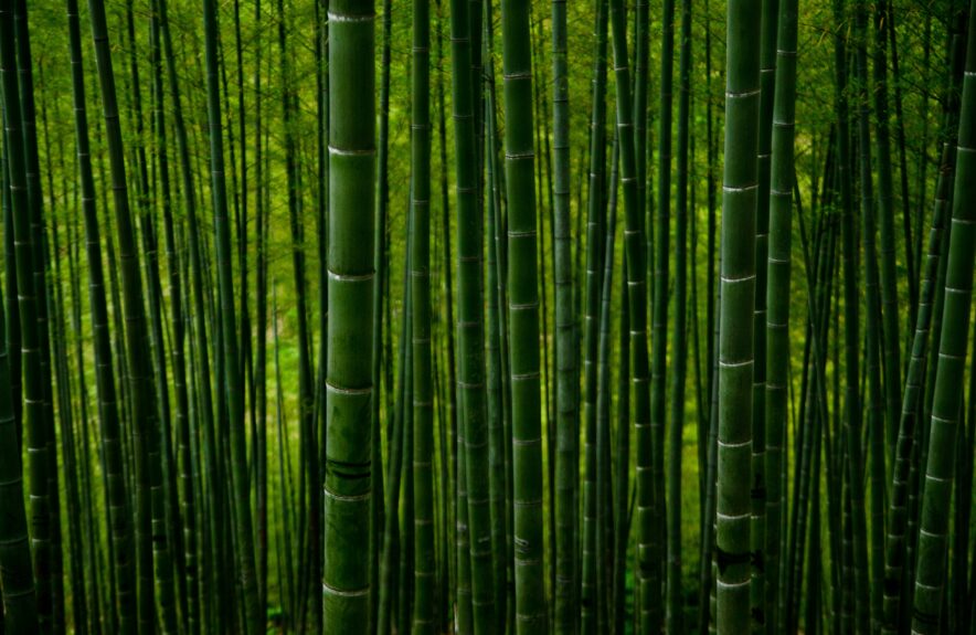 Photo by Clement Souchet on Unsplash