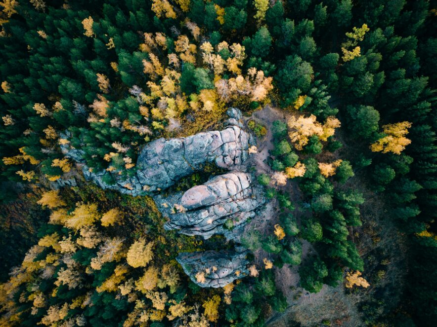 Photo by Dmitrii Shirnin on Unsplash