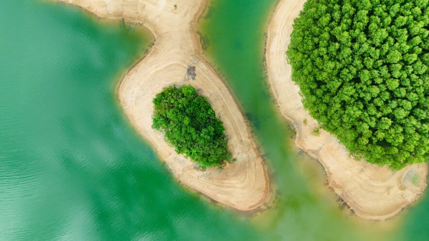 Photo by Nguyen Chieu on Unsplash