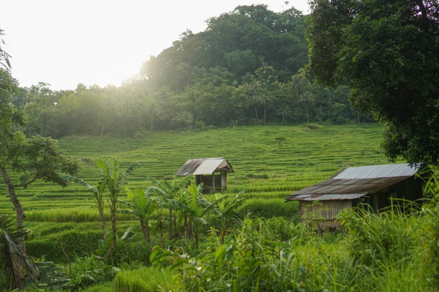 Photo by Dewi Karuniasih on Unsplash