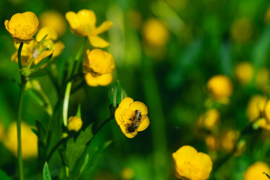 Photo by German Krupenin on Unsplash